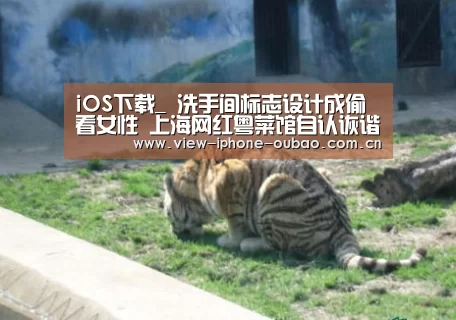 APP下载