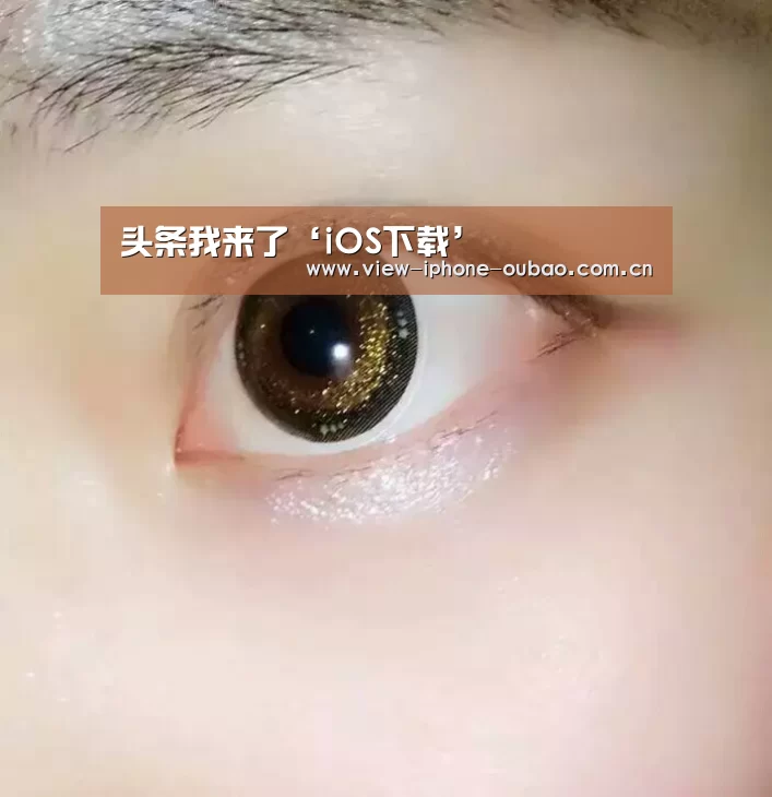 APP下载
