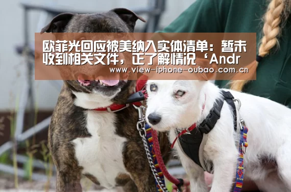 欧菲光回应被美纳入实体清单:暂未收到相关文件,正了解情况‘Android下载’(图3) Android下载