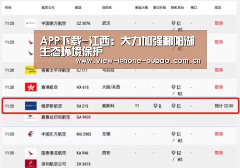APP下载