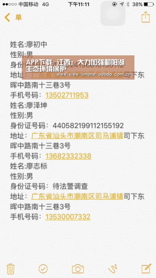 APP下载