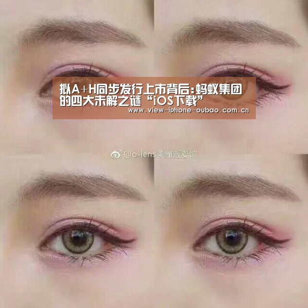 拟A+H同步发行上市背后:蚂蚁集团的四大未解之谜“iOS下载”(图4) 官方应用