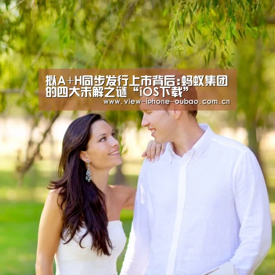 拟A+H同步发行上市背后:蚂蚁集团的四大未解之谜“iOS下载”(图3) APP下载