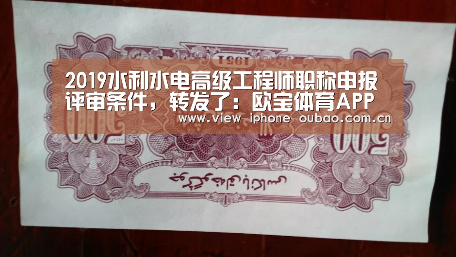 APP下载