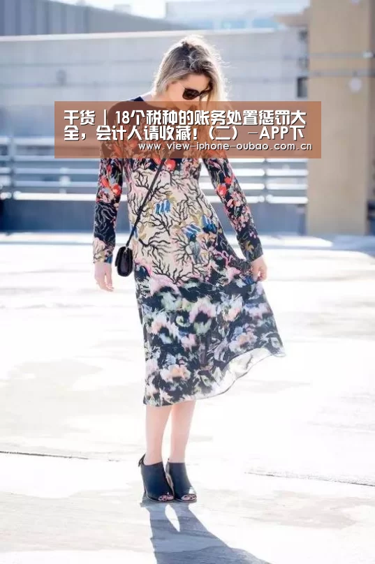 干货 | 18个税种的账务处置惩罚大全,会计人请收藏!(二)-APP下载(图1) 官方应用
